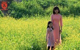 Cánh đồng cải vàng, điểm 